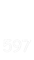 590-image